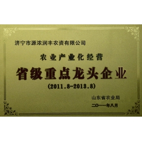 省級重點(diǎn)龍頭企業(yè)